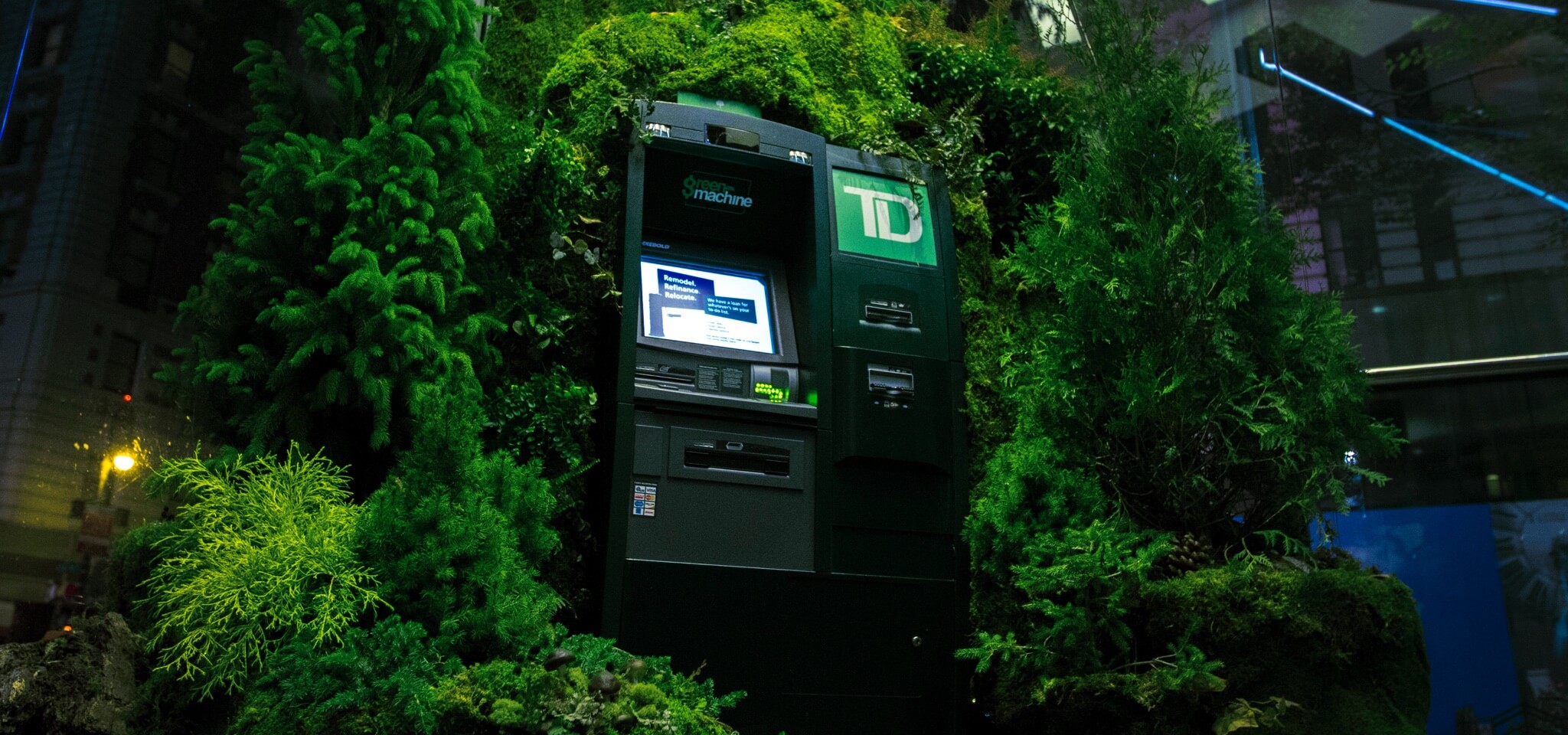 A TD Bank ATM machine is surrounded by lush green plants